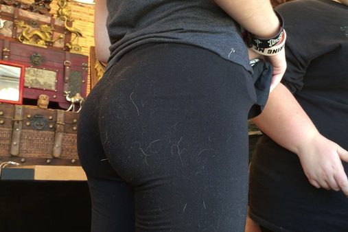 622-prev