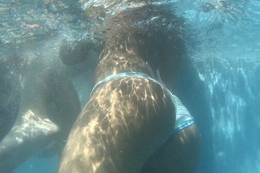 810 prev-pool-thong-candid-underwater-creep-hd-cheeks-arse-voyeur-bikini-tanga-white girl